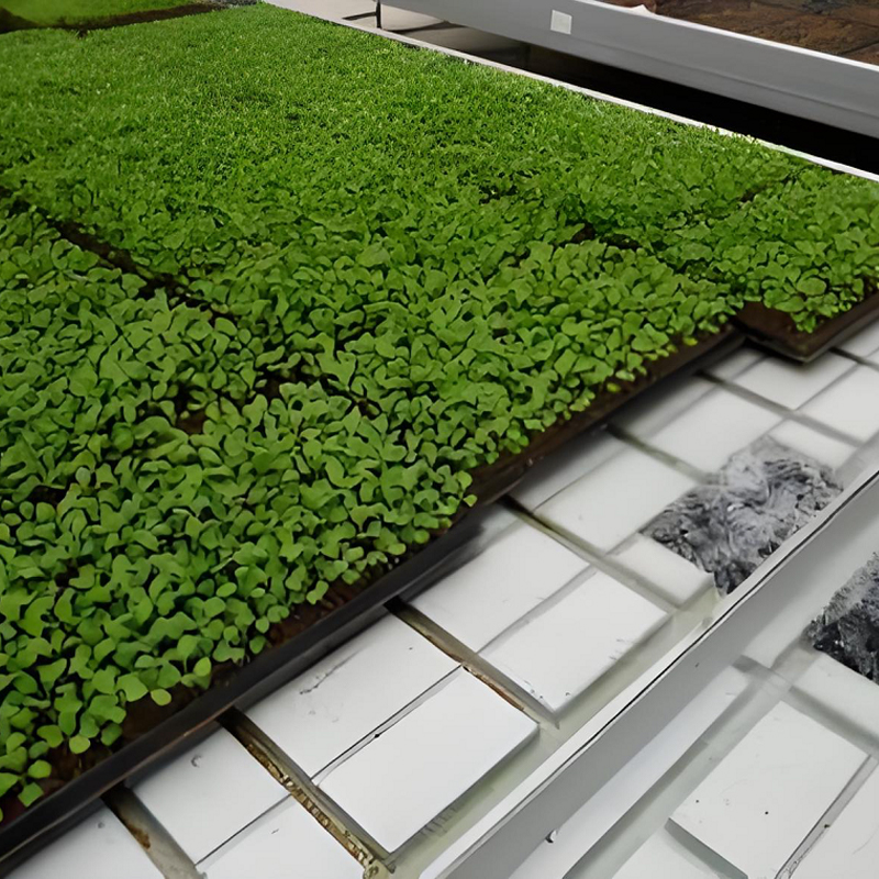 ABS Tidal Seed Bed and Nursery Bed