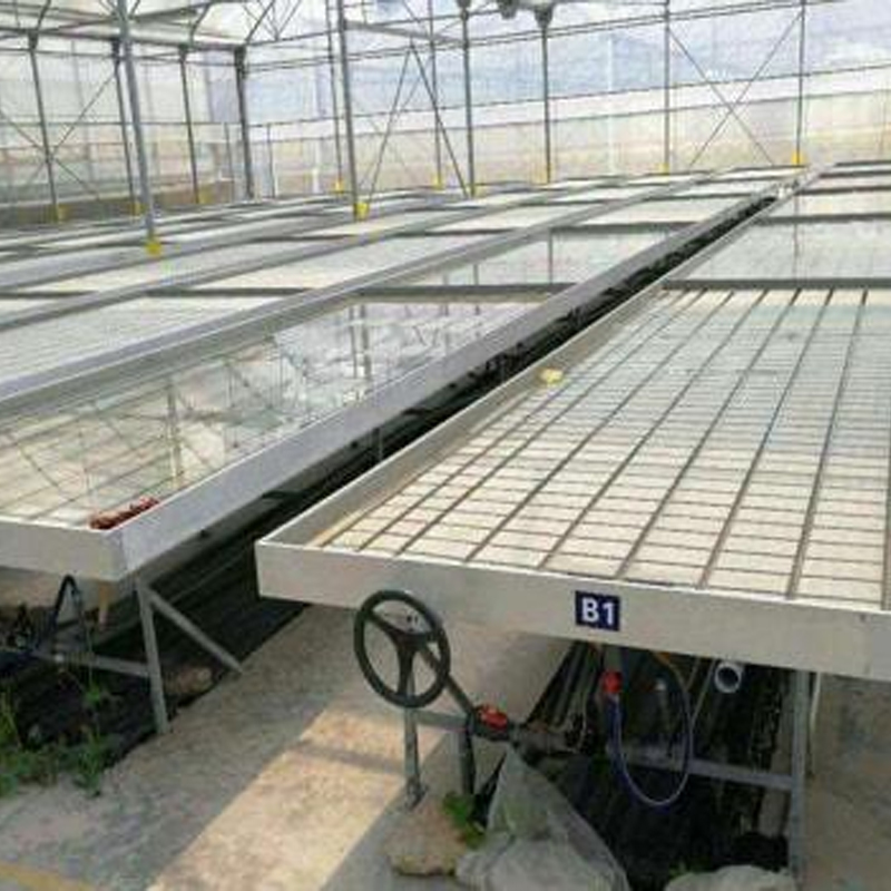 ABS Tidal Seed Bed and Nursery Bed