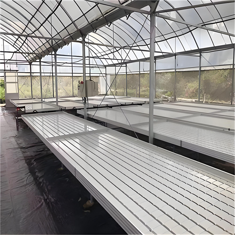ABS Tidal Seed Bed and Nursery Bed